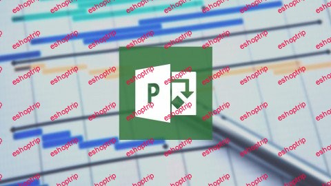 The Ultimate Microsoft Project 2013 Training Bundle 19 Hours