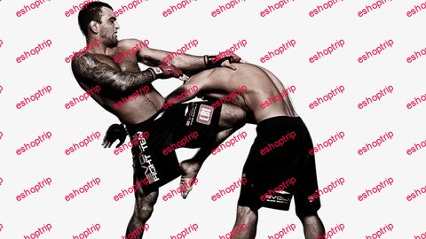 How To Learn Mixed Martial Arts