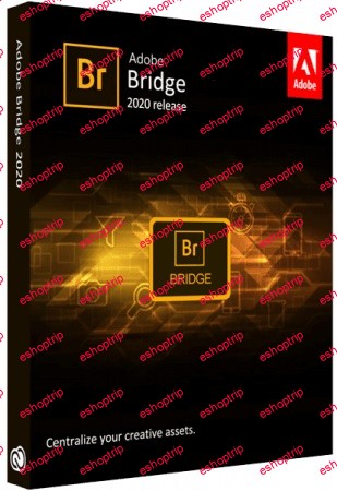 Adobe Bridge 2023 13.0.3.693 x64 Multilingual