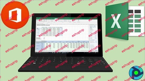 Ms Excel Manage And Report With Microsoft Excel Basic