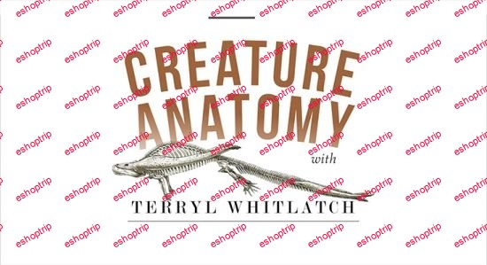 Creature Anatomy