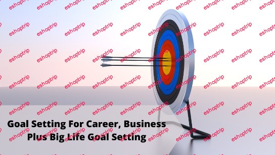 Goal Setting For Career Business Plus Big Life Goal Setting