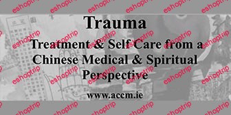 Jeffrey Yuen & Paul McCarthy Shang Trauma ACCM