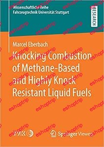 Knocking Combustion of Methane Based and Highly Knock Resistant Liquid Fuels