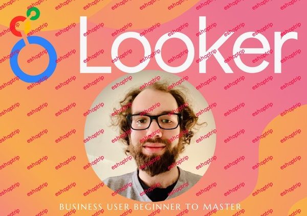 Looker Business User Mastery