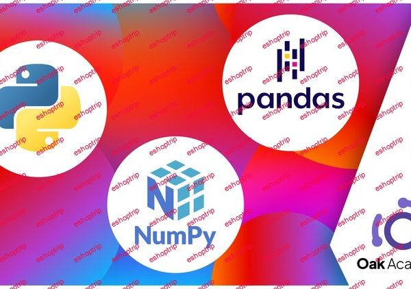 Python Numpy & Pandas Python Programming Language Libraries