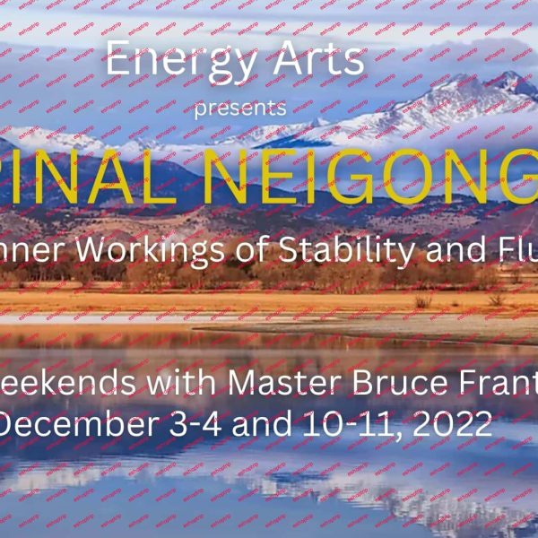 Bruce Frantzis Spinal Neigong The Inner Workings of Stability and Fluidity 2022