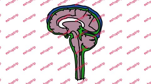 Clinical Neuroanatomy