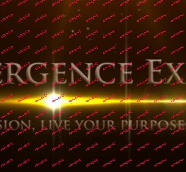 Derek Rydall The Emergence Experience