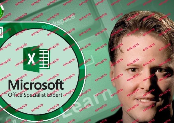 Microsoft Excel 2019 Level 1 Beginner Excel 2019