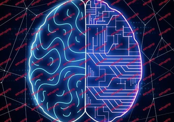 Binary Classification & Explainability for Data Science!