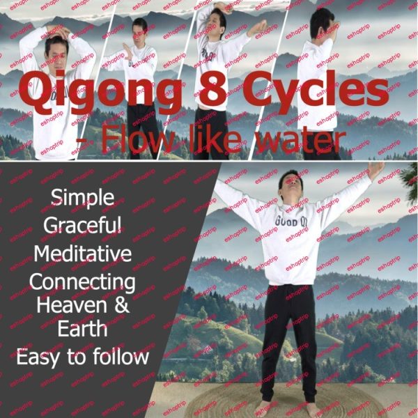 Robert Peng Qigong 8 Cycles