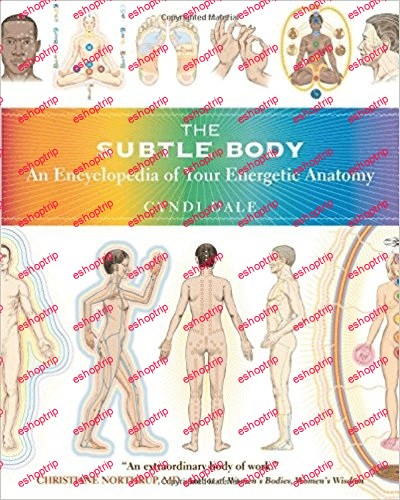 The Subtle Body An Encyclopedia of Your Energetic Anatomy