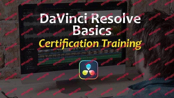 VFXStudy DaVinci Resolve Basics Training 2023