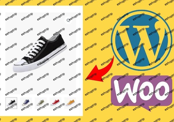 Build An eCommerce Website With WordPress for Beginners