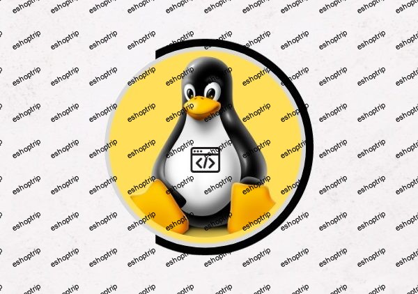 Linux Shell Scripting Beginner Course 2023