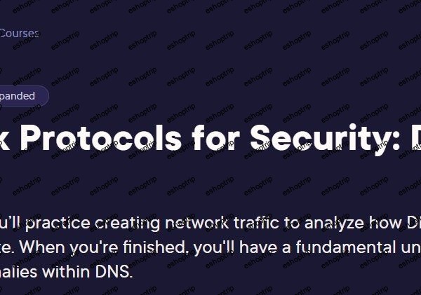 Network Protocols for Security DNS