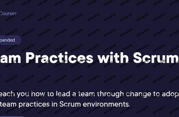 Agile Team Practices with Scrum