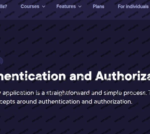 Vue 3 Authentication and Authorization