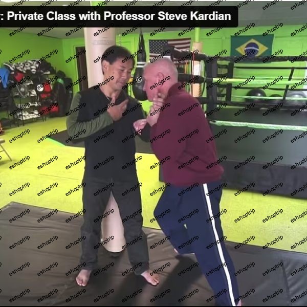 kaizen Tao Private Class with Prof. Steve Kardian