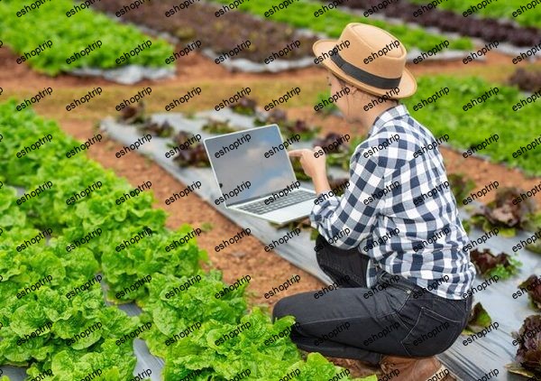 Basics of Agriculture for Engineers Building a Strong Found