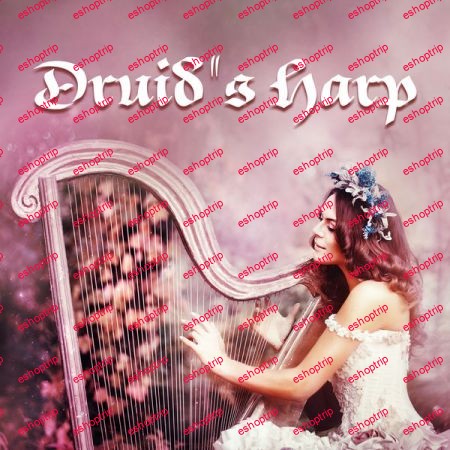 Celtic Chillout Relaxation Academy Druid's Harp Beautiful Instrumental Celtic Music (2022)