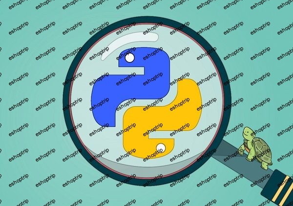 Python & Turtle A Practical Guide for Beginners and Beyond