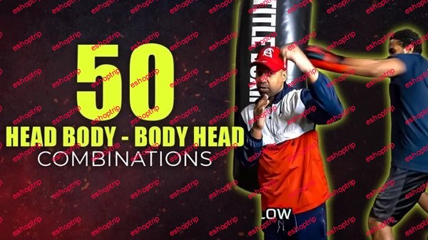 50 Head Body Body Head Combinations