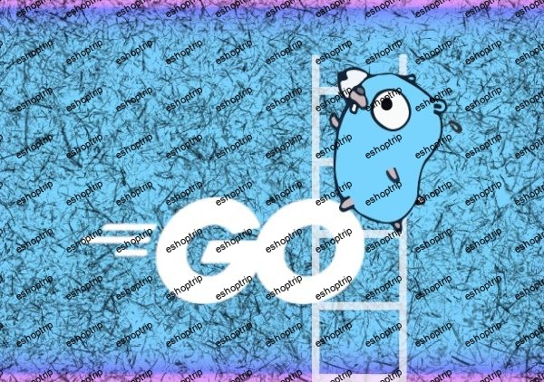 Desarrollo profesional con Golang