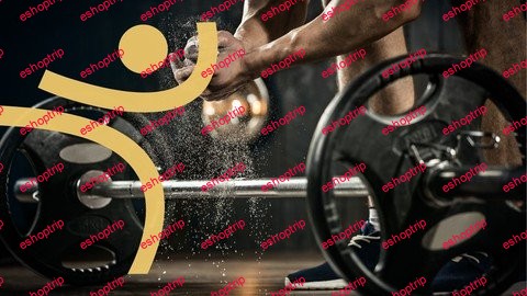 Fundamentals Of Strength And Power Training For Your Sport