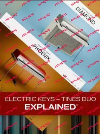 Groove3 Electric Keys Tines Duo Explained