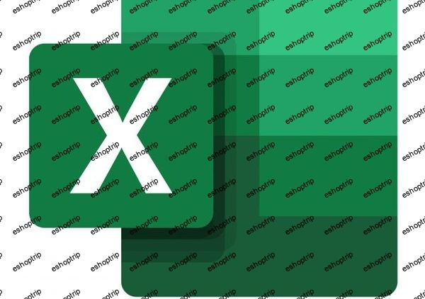 Learn Excel (basic, formulas and charts corporate work)