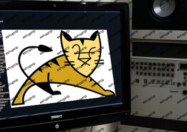 Mastering Tomcat From Basic to Expert