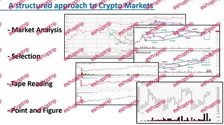 Wyckoff Analytics Trading the Crypto Market with the Wyckoff Method