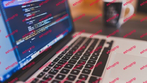 Coding For The Professional Non Developer