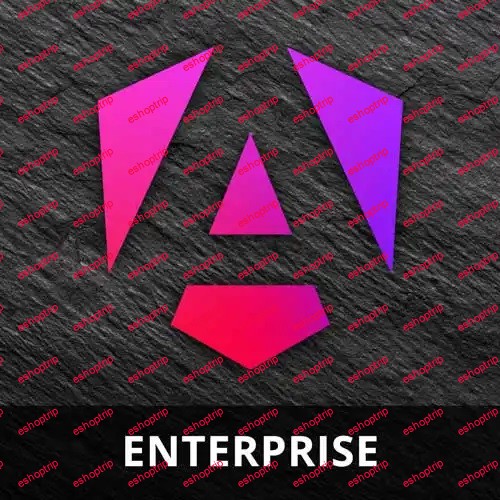 Enterprise Angular