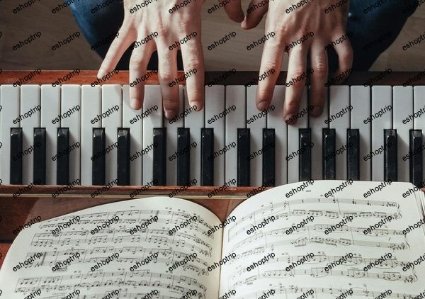 How to Read Sheet Music on Piano