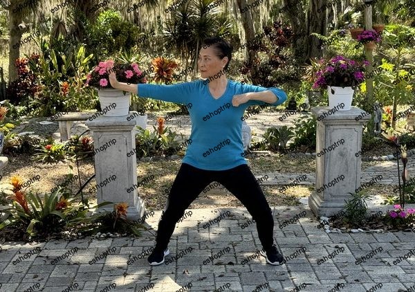 Learn how to Practice and Perform Eight Brocade Qi Gong