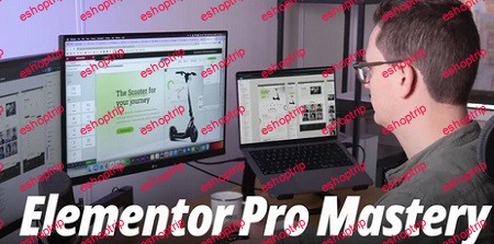 Livingwithpixels Elementor Pro Mastery