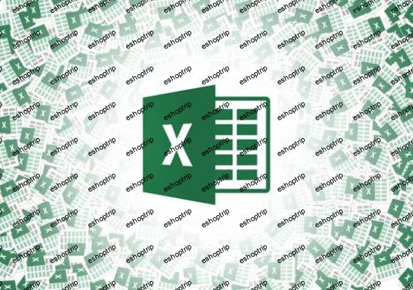 Microsoft Excel Data Analysis with Excel Functions[PREMIUM]