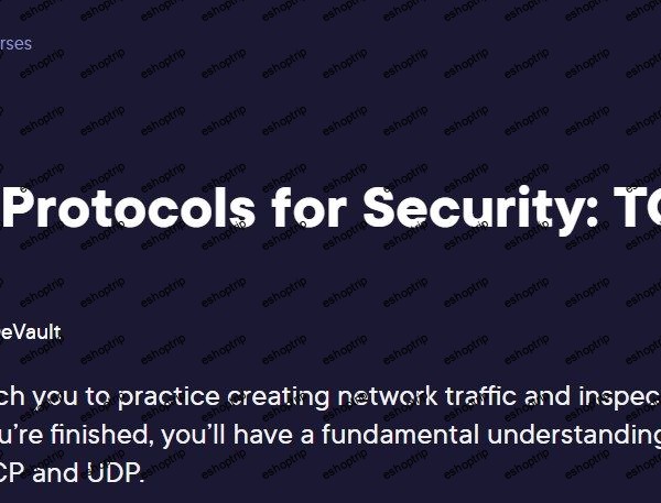 Network Protocols for Security TCP and UDP