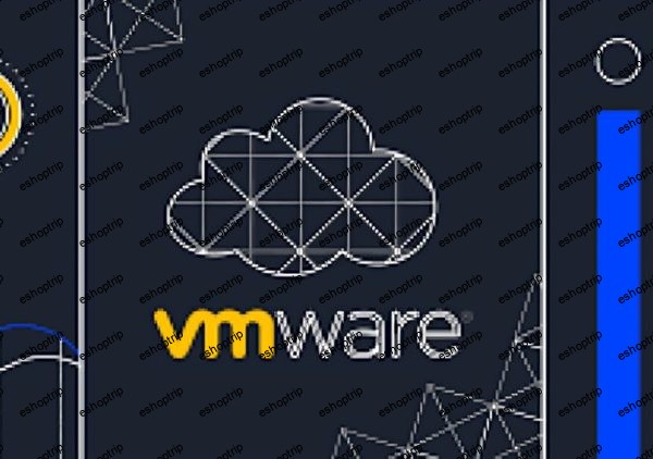 VMWare Virtualization (2024)