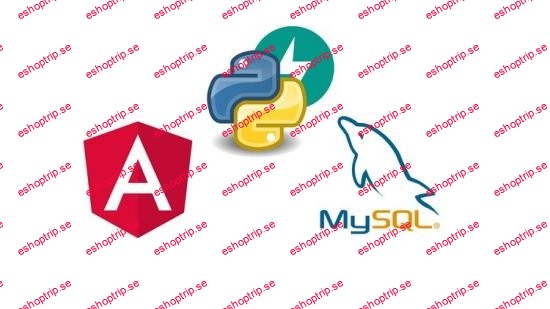 Angular 17, Python Fast API and MySQL Full Stack App