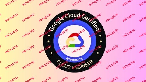 Google Cloud Professional Cloud Network Engineer 2024