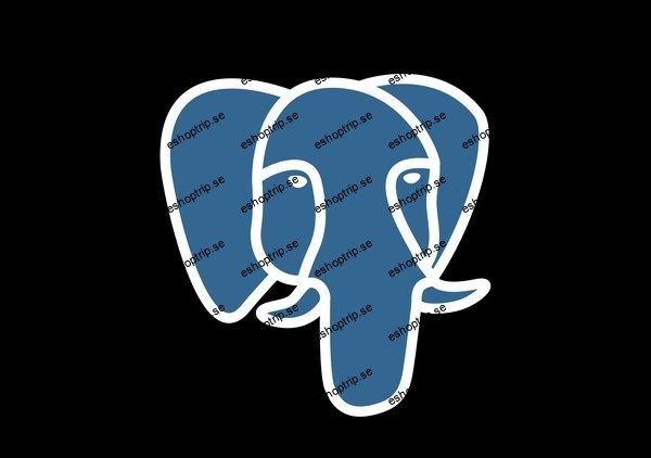 The Complete Introduction to PostgreSQL Course 2024