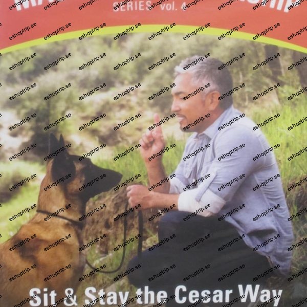 Cesar Millan Sit and Stay the Cesar Way Vol. 4 Mastering Leadership Series