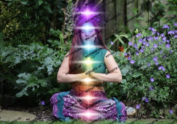 Chakra BootCamp A Beginners Guide to Embody the 7 Chakras