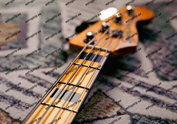 Complete electric bass course to improve your technique