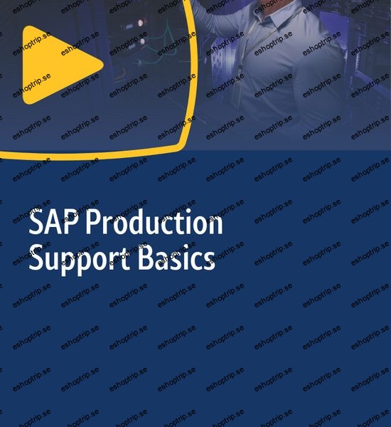 SAP Production Support Basics