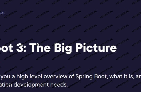 Spring Boot 3 The Big Picture